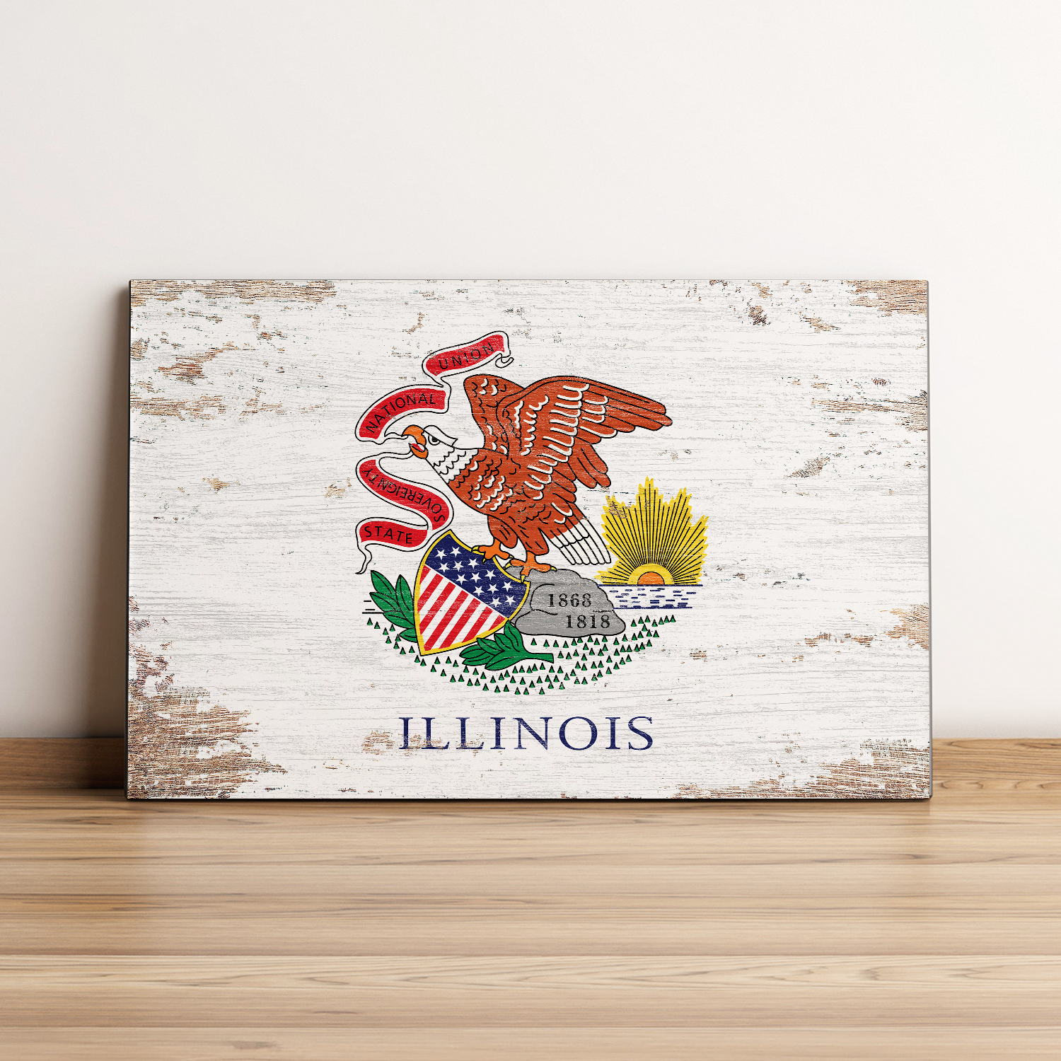 Illinois State Flag Wall Art